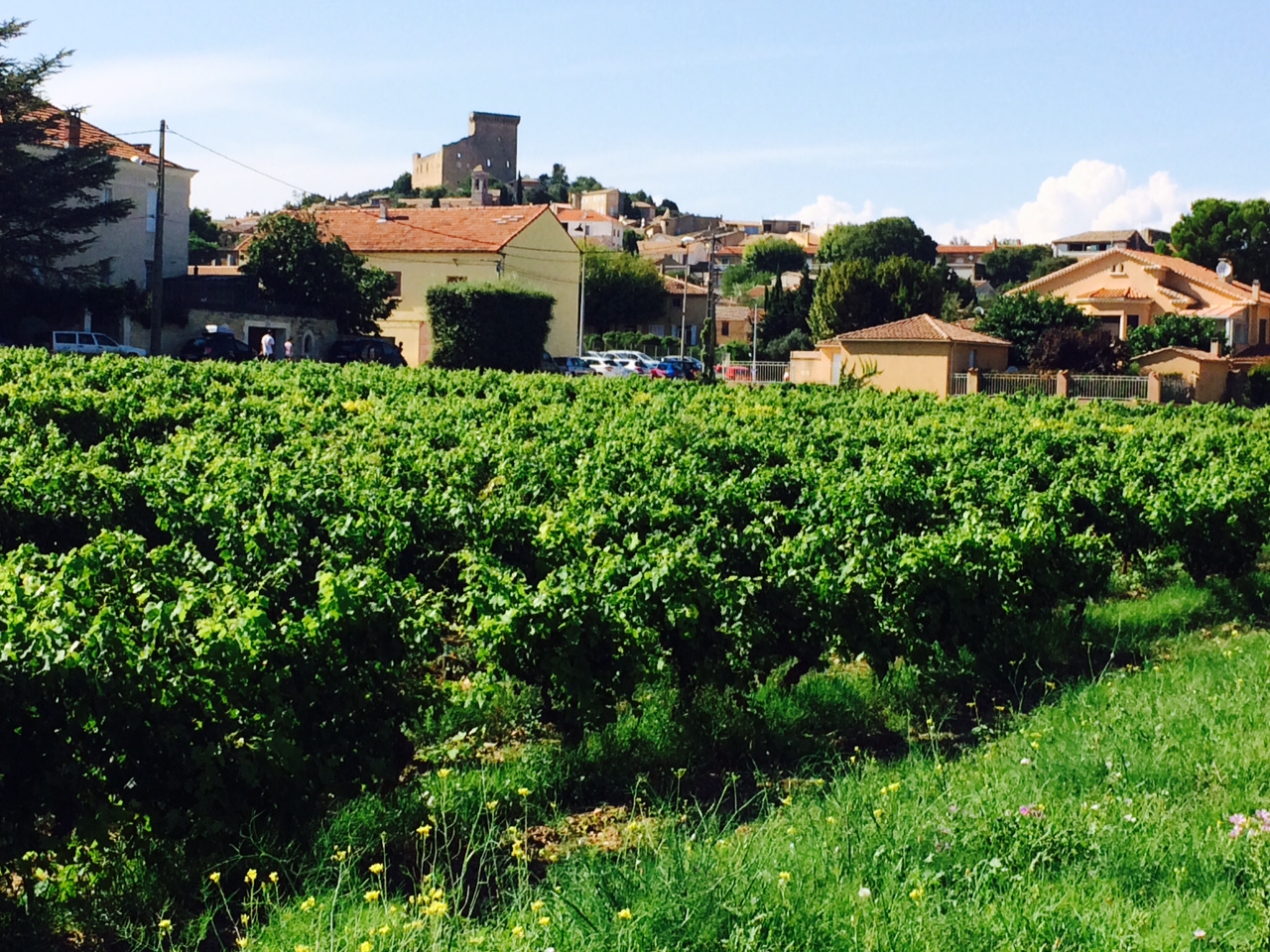 chateauneuf-du-pape