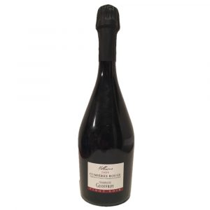 Champagne Geoffroy - Pinot Noir 2009