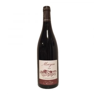 Domaine Steeve Charvet - Morgon