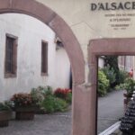 Degustace vín z Alsaska
